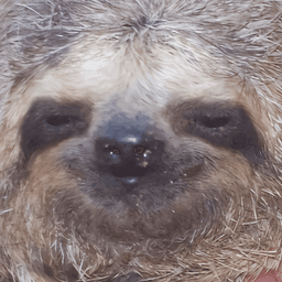 Sloth logo