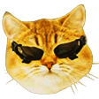 DxCat emote