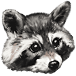 RaccAttack emote