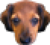 RalpherZ emote