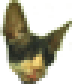 Kippa emote