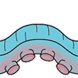 Squid2 emote
