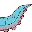 Squid4 emote