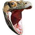 PogChamp emote