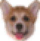CorgiDerp emote