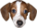 FrankerZ emote