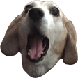 OhMyDog emote