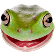 OSFrog emote