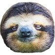 SeriousSloth emote