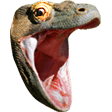KomodoHype emote